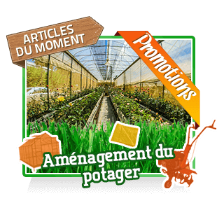 Am�nagement du potager